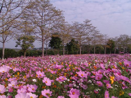 ������̬԰ ��������������