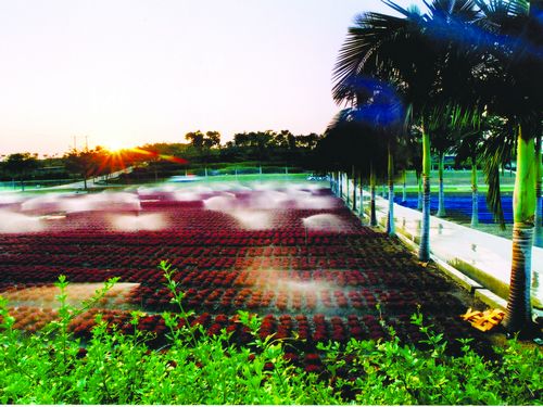 ������̬԰ ��������������